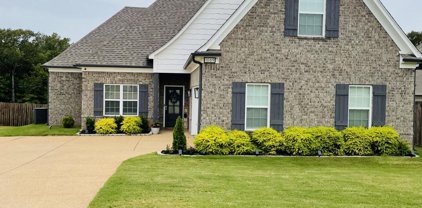1069 Williamson Cove, Hernando