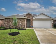21607 Violet Ridge Road, Katy image