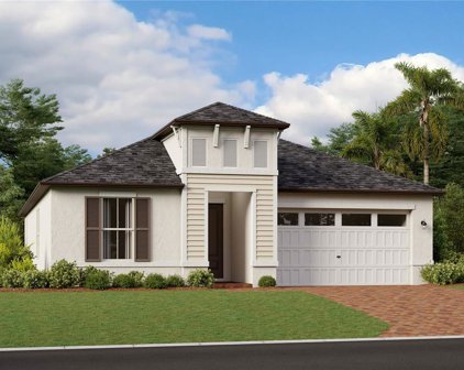 9772 Carabiner Way, Land O' Lakes