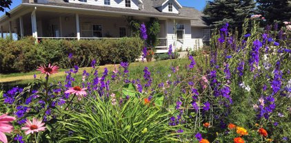 659 Claffey Drive, Polson