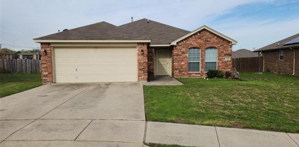 848 Coppin  Drive, Fort Worth