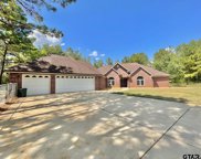 19186 COUNTY ROAD 1108, Flint image