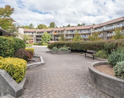 4363 Halifax Street Unit 318, Burnaby