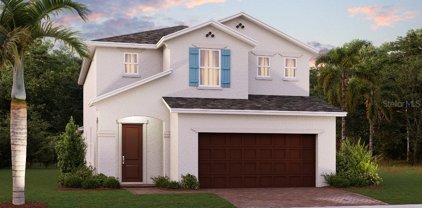 1790 Petiole Place, Kissimmee