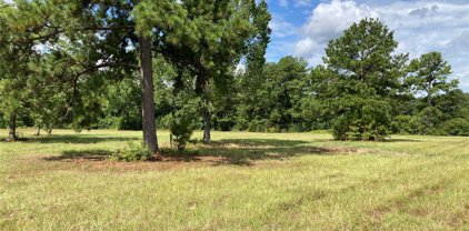 TBD FM 1725 Road, Willis