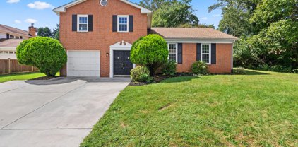 8836 Tuckerman Ln, Potomac