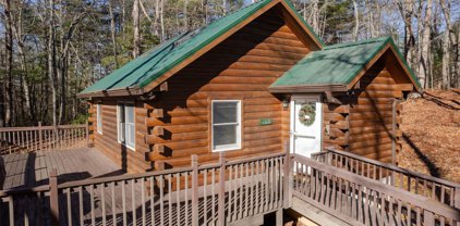 103 Bee Tree  Way, Hendersonville