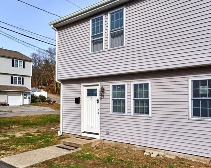 55 Ridgeway Avenue Unit 1, Providence