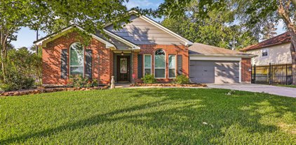 3642 Shore Shadows Drive, Crosby