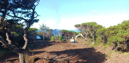 Nesika Rd. Unit #701, Gold Beach