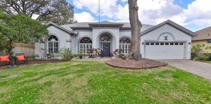 4411 Round Lake Court, Tampa