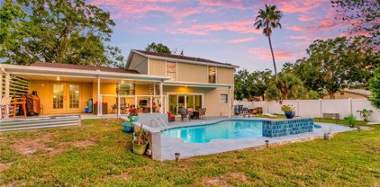 16216 Fantasia Drive, Tampa