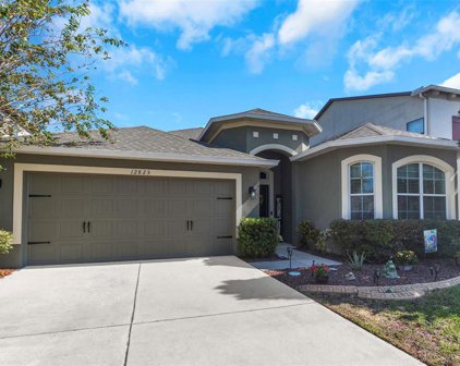 12825 Tikal Way, Trinity