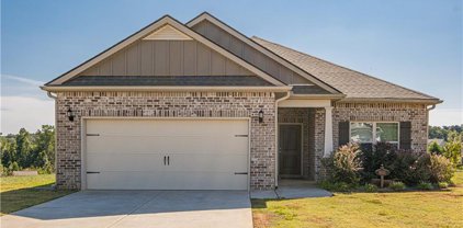 6031 Creekside View Lane, Clermont