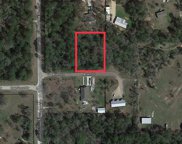 11505 Acorn Lane, Plantersville image