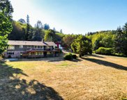 18617 NE 399TH ST, Amboy image