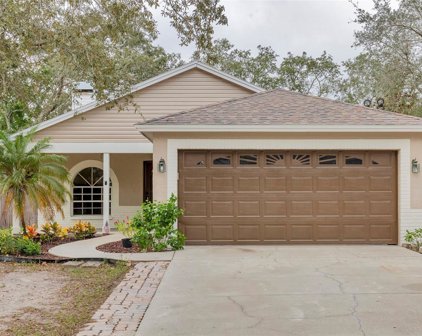 1898 Lillian Avenue, Tarpon Springs