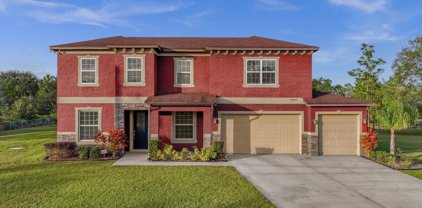 18827 Reynolds Parkway, Orlando