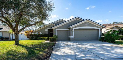 22524 Willow Lakes Drive, Lutz
