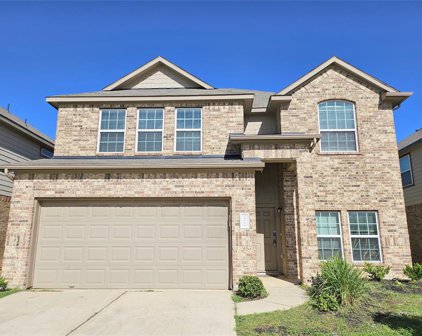24918 Puccini Place, Katy