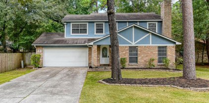 45 Coralberry Road, The Woodlands
