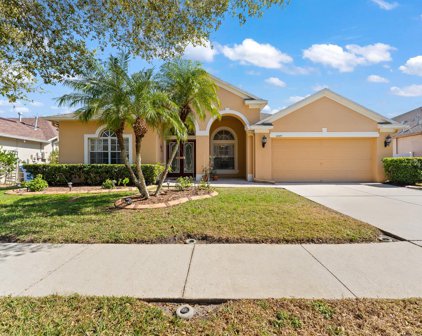 8225 Swann Hollow Drive, Tampa