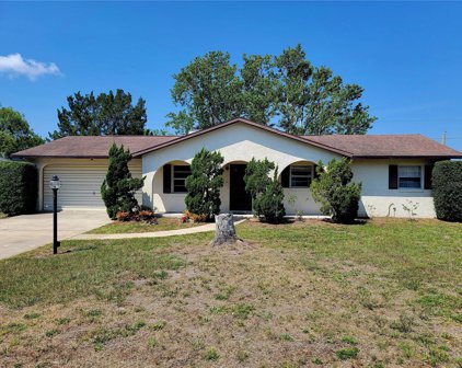1850 Fern Palm Drive, Edgewater