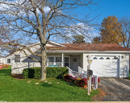 204 Amendola Way, Grayslake