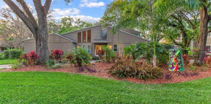 422 Montrose Avenue, Temple Terrace