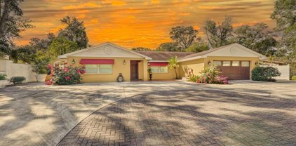 7210 N Habana Avenue, Tampa