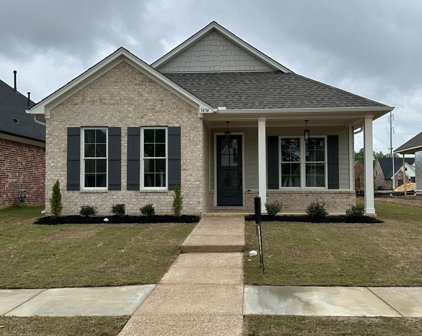 3434 Hatton Drive, Nesbit