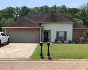 43151 Sycamore Bend Ave, Gonzales image