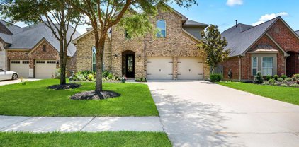 29011 Oldfield Court, Katy