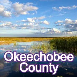 Okeechobee County Florida Homes for Sale