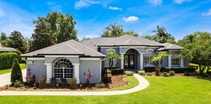 16346 Florence Oak Court, Montverde