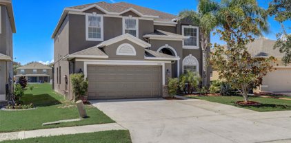 2128 Roanoke Springs Drive, Ruskin