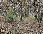 95.69 acres Highway 33, La Valle image