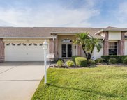 1041 Flora Vista Street, Trinity image