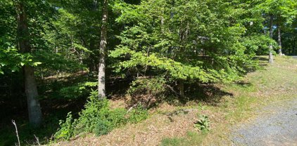 1114 Lakeview Dr, Cross Junction