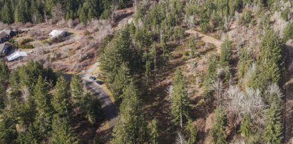 Bean Lane SE, Tenino