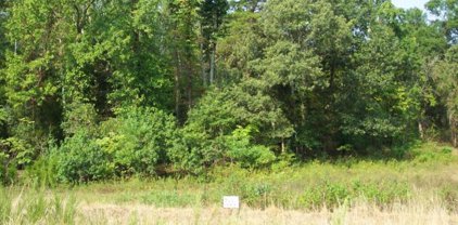 15855 Moss Creek Ct, Brandywine