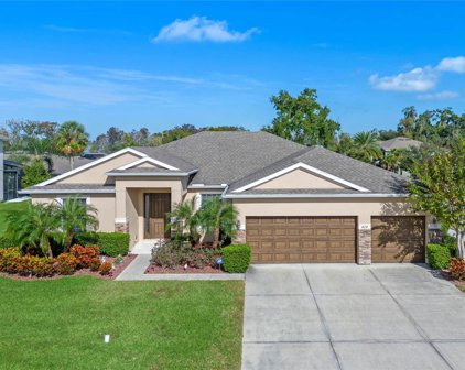 424 Lone Heron Way, Winter Garden