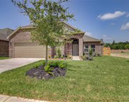 5326 Acapulco Mist Drive, Katy image