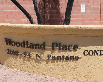 2188 N Pantano Unit #239, Tucson