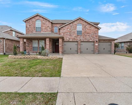 1011 Castroville  Drive, Forney