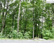 234 Wild Daisy Lane, Beech Mountain image