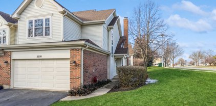 2250 Seaver Lane, Hoffman Estates
