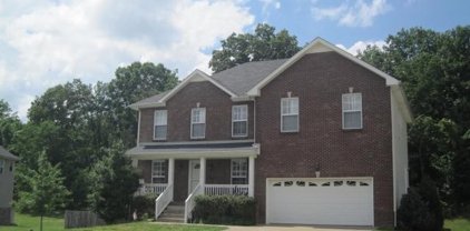 732 Forrest Cove Ct, Clarksville