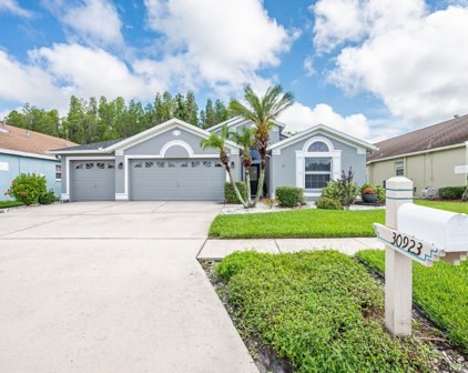 30923 Iverson Drive, Wesley Chapel