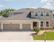 13265 Baby Belle Dr, Riverview image